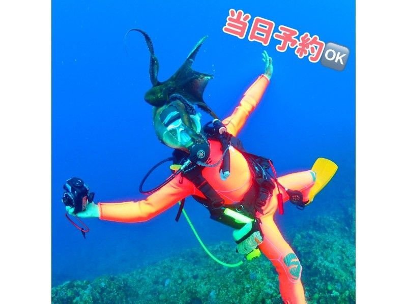 Arrival diving plan from Naha Airport! (From the beach)/2 dives/Airport transfer available/Equipment rental free/Same day reservation okの紹介画像