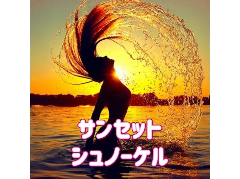 沖縄ダイビングライセンス フリースタイルの割引プラン