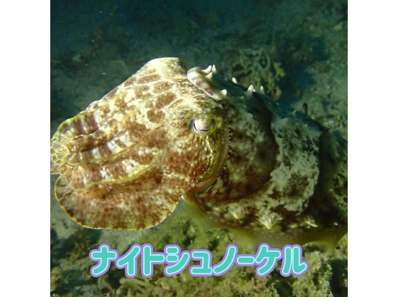 【北海道・SUP体験】透明度の高い支笏湖の湖面をクルージング！SUP体験（半日コース）の画像