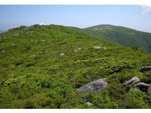 【岩手・釜石】＜お花見登山プラン＞五葉山(1,341.3m) 赤坂峠コース 登山｜太陽と海と、野生の動物とあざやかな花の思い出を｜