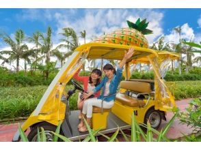[从冲绳/那霸出发]海洋博览会和古宇利岛/名护菠萝园巴士之旅（路线A）