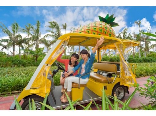 [从冲绳/那霸出发]海洋博览会和古宇利岛/名护菠萝园巴士之旅（路线A）の画像