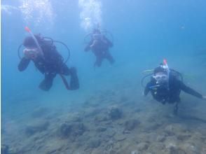 【青森・夏泊】短い青森の夏を満喫！初めての体験ダイビング！1名様～予約OK!!「完全貸切」