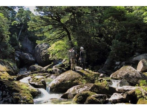 YNAC Yakushima Outdoor Activity Center