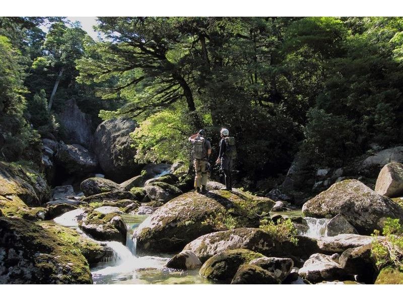 【鹿児島・屋久島】国内初「森のエコツアー」白谷雲水峡 ・1日トレッキングコース!YNAC認定ガイド付