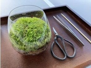[Nagano/Lake Shirakaba] Moss terrarium workshop for parents and children Moss terrarium making experienceの画像
