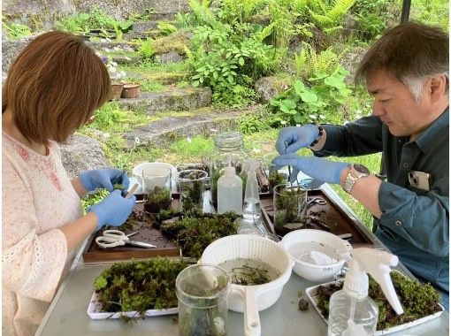 SALE! [Nagano, Lake Shirakaba] Moss terrarium workshop for parents and children Moss terrarium making experienceの画像