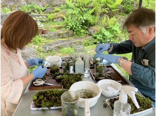【長野・白樺湖】苔テラリウム 制作体験 お１人様でも大歓迎！ 親子でも出来る　ワークショップ　苔　テラリウム 作り 体験の画像