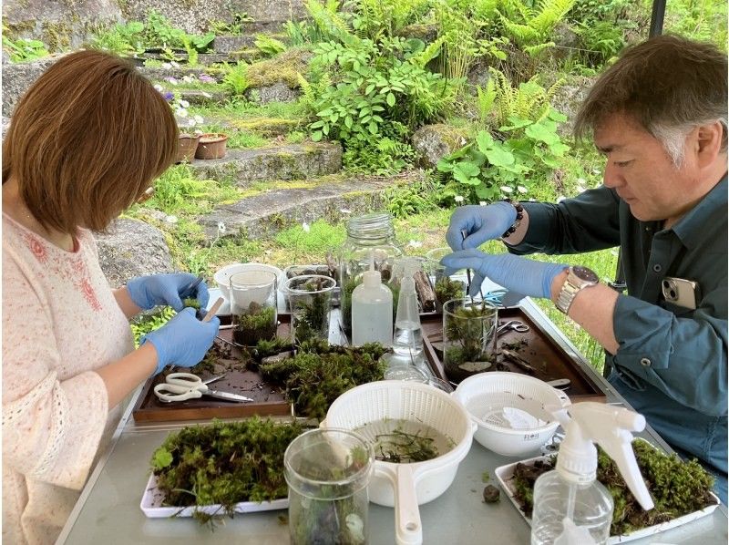 [Nagano, Lake Shirakaba] Moss terrarium making experience Even if you are alone, you are welcome! A workshop that parents and children can do Moss terrarium making experienceの紹介画像