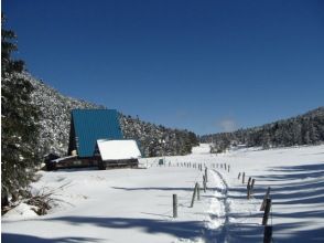 Yatsugatake Nature Cruise