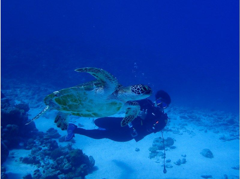 10000004432601_kc7GuTNh_4.jpg?