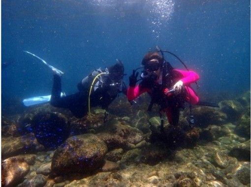 [Nerima-ku, Tokyo] For beginners! Experience diving in the real ocean!の画像