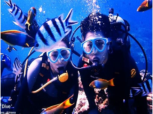 [沖繩/那霸]慶良間體驗潛水計畫♪包括寄宿費，包括影片/照片拍攝◎推薦給女性、家庭和情侶◎の画像