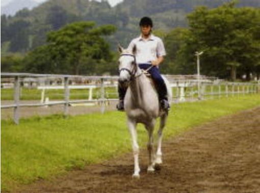 [Miyazaki Aya] people who with little experience from inexperienced person! Horseback riding experience (beginner course)の画像