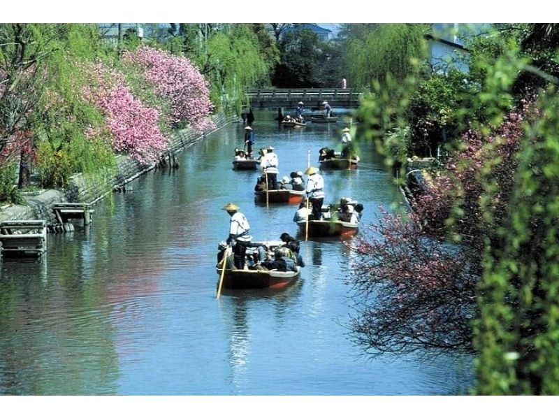[Dazaifu] Train trip with Dazaifu Tenmangu Shrine & Yanagawa river guide from Fukuokaの紹介画像