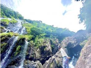 【奄美1人旅の方.カップル旅歓迎！送迎無料】１日満喫セット（ウミガメシュノーケルORカヌー＆ドライブツアー！）１３時以降はナイトツアー付！