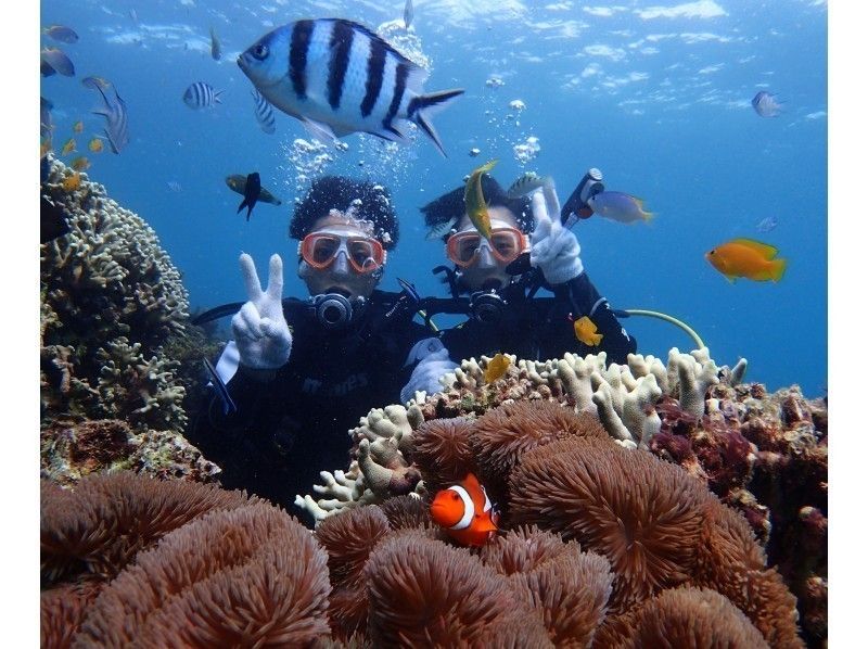 【北海道・SUP体験】透明度の高い支笏湖の湖面をクルージング！SUP体験（半日コース）の画像