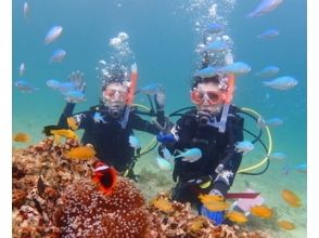 【沖縄県・東海岸プライベートビーチ】のんびり体験ダイビングの画像