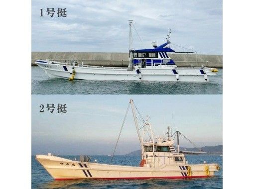 【兵庫・淡路】貸切便・午後プラン｜時期により釣り方、釣り物変動。要確認。｜6名様まで同料金｜初心者・ベテラン・釣りガール・ファミリー 歓迎｜の画像