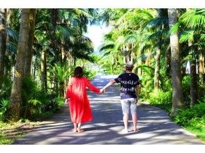 【おとなの石垣島旅行】ちょっと贅沢そしてゴージャスな石垣島をアテンド♪55歳〜70歳限定・2名様～ツアー催行！旅行支援応援型新プラン！
