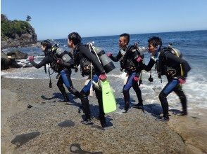 【静岡・伊豆海洋公園】オープンウォーターダイバーコース（ダイビングライセンス）の画像