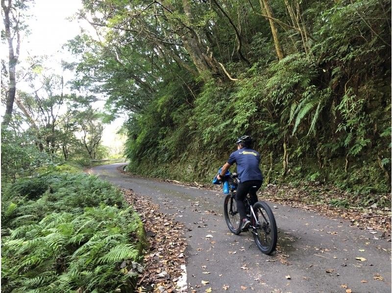 [Amami Oshima] Enjoy the nature of Amami with the latest e-bike! Water and green forest tour by e-bike!の紹介画像