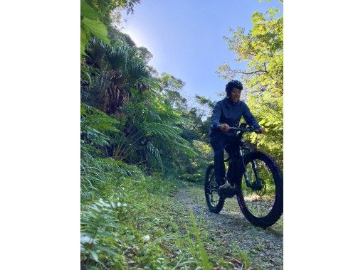 [Amami Oshima] One day tour to enjoy both popular e-bikes and mangroves! EMTB and Mangrove Canoe Tourの画像