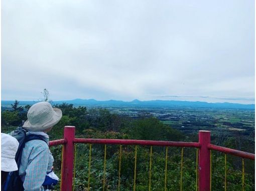 【北海道・札幌近郊】プロガイドと行くマオイ丘陵ハイキングツアーの画像