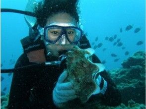 【沖縄・うるま】ファンダイビング（2ダイブ）｜東海岸の無人島でダイビングを満喫♪｜ライセンス必須｜珍しい海の生き物がいるスポットへご案内｜の画像