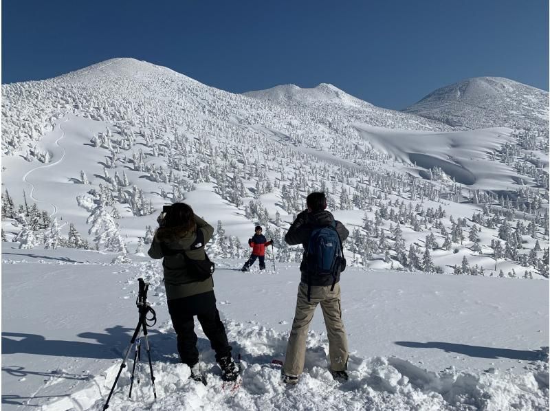 奥入瀬・十和田湖・八甲田のウィンタースポーツ（雪のアクティビティ