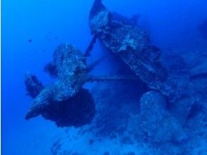 Okinawa diving service splus