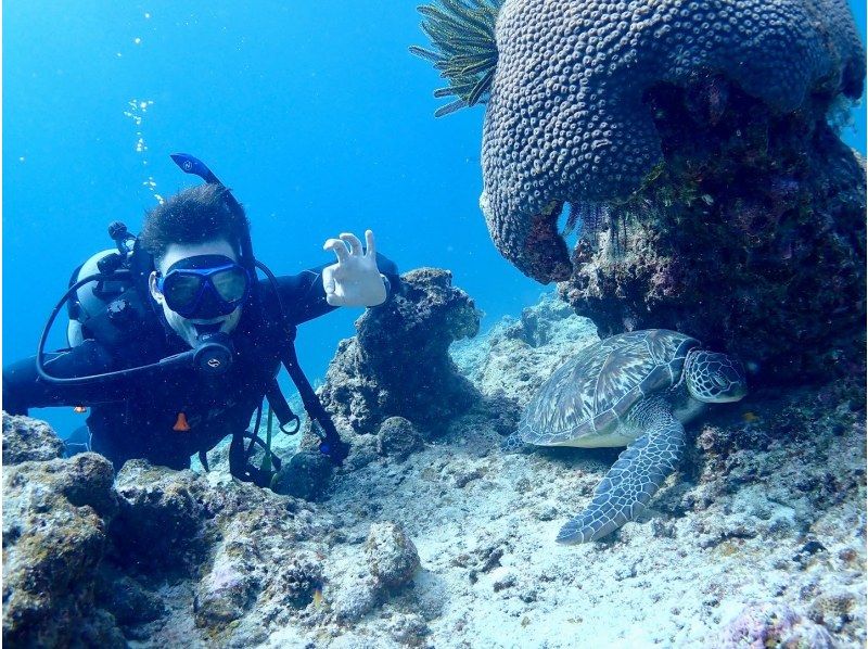 【石垣島・川平湾】送迎込・初心者大歓迎！ウミガメやマンタと泳いで一生の思い出作り！体験ダイビング1本コース(シュノーケリング付き）の紹介画像