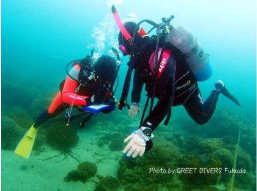 [南国宫崎-日南海岸] Tri Scover（经验深潜）[参与者穿着一件泳衣OK！ ]の画像