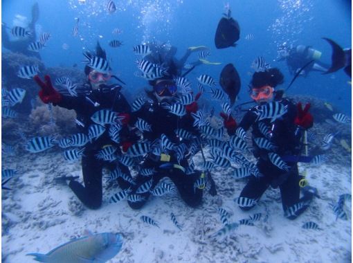 [讀谷沖繩恩納前田]享受沖繩的珊瑚和熱帶魚，海葵魚潛水經驗的性質の画像