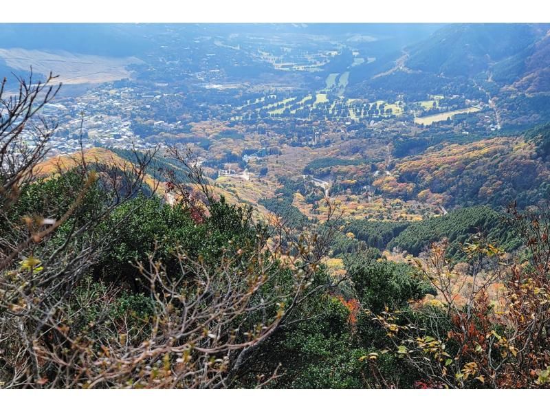 【Kanagawa・Hakone】Hakone Mt. Kintoki and Sengokuhara trekking tourの紹介画像