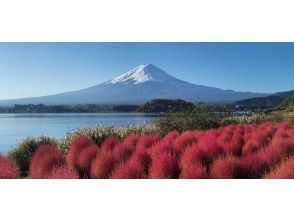 【Tokyo】Mt. Fuji Fifth Station and Lake Kawaguchi Day Tourの画像