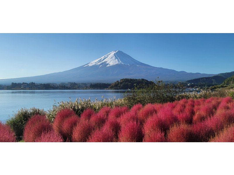 【Tokyo】Mt. Fuji Fifth Station and Lake Kawaguchi Day Tourの紹介画像