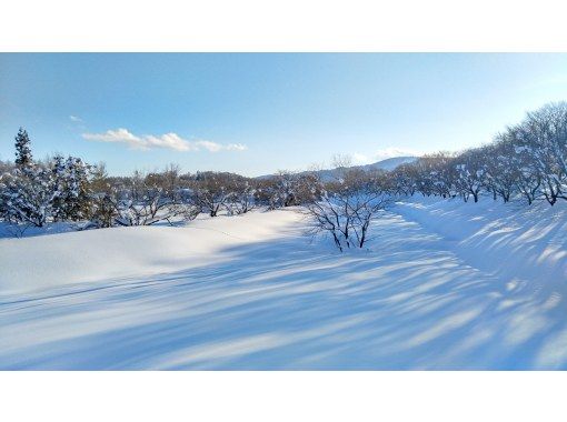 【長野・飯山】午後からゆっくり初めての雪上散歩　信濃平駅から徒歩10分の針湖池周辺でスノーシューorネイチャースキー　プライベートツアーの画像