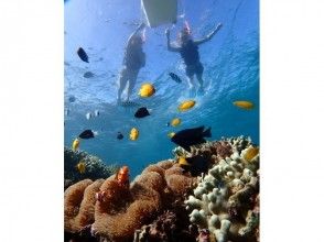 【沖縄県・東海岸プライベートビーチ】のんびりと楽しめるシュノーケル!の画像