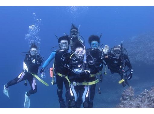 【横浜】シュノーケリングコースでダイビング初体験！【初体験の方にオススメ♪】の画像