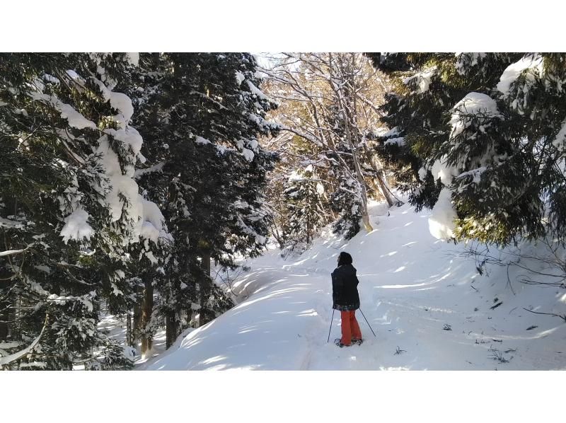 【長野・飯山】北竜湖で 選べるアクティビティ　プライベートでスノーシューorネイチャースキー体験　およそ2.5kmのんびり3時間の紹介画像