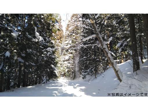 【長野・信濃町】4時間のプライベートツアー　雪の旧北国街道をスノーシューで歩く　柏原宿と牟礼宿を結ぶ峠道の画像