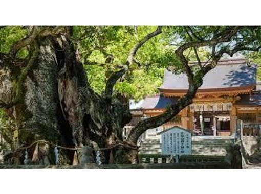 【愛媛・今治】観光タクシーで行く！大山祇神社や亀老山などおすすめ観光スポット満喫プラン（4時間コース）｜今治に詳しい運転手がご案内しますの画像