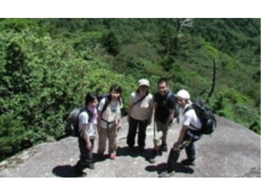 【鹿児島・屋久島】白谷雲水峡原生林トレッキングツアー（1日コース）の画像