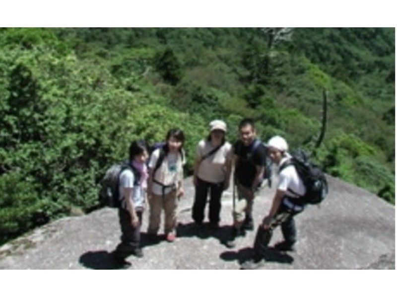 【鹿児島・屋久島】白谷雲水峡原生林トレッキングツアー（1日コース）の紹介画像