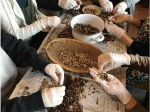 【島根・出雲】鷺浦の美しい海を眺めながら椿オイル搾油体験！体験後には海を眺めながらのティータイム付き