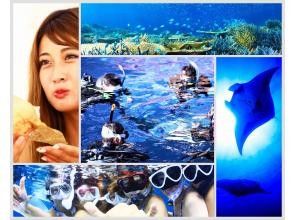 【石垣島/半日】いま得、ボートクルーズ、マンタとウミガメ体験ダイビング＆シュノーケル、ホテル送迎・器材・ソフトドリンク・シャワー・タオル付き
