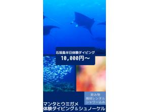 【石垣島/半日】ボートクルーズ、マンタとウミガメ体験ダイビング＆シュノーケル、器材・飲み物・タオル付き