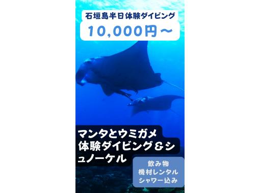 【石垣島/半日】ボートクルーズ、マンタとウミガメ体験ダイビング＆シュノーケル、器材・飲み物・タオル付きの画像