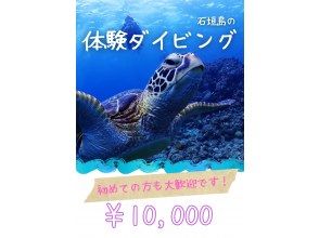 【石垣島/半日】初心者、団体OK！ボートクルーズ、マンタとウミガメ体験ダイビング&シュノーケル、器材、飲み物、タオル付き、写真無料プレゼント